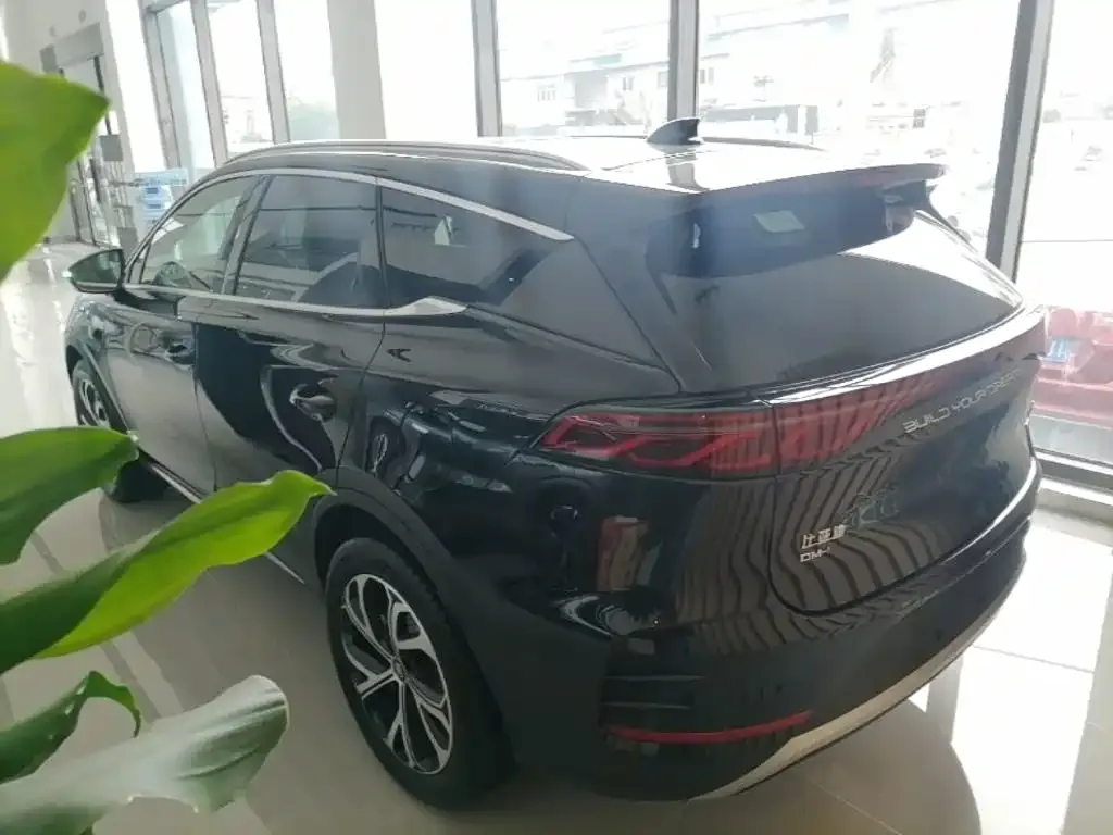 BYD Tang New Energy — фото 10