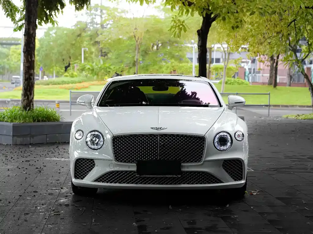 Bentley Continental — фото 8