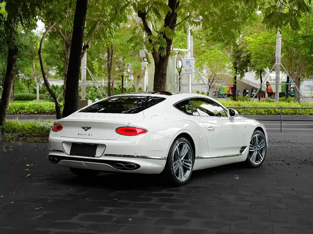 Bentley Continental — фото 10