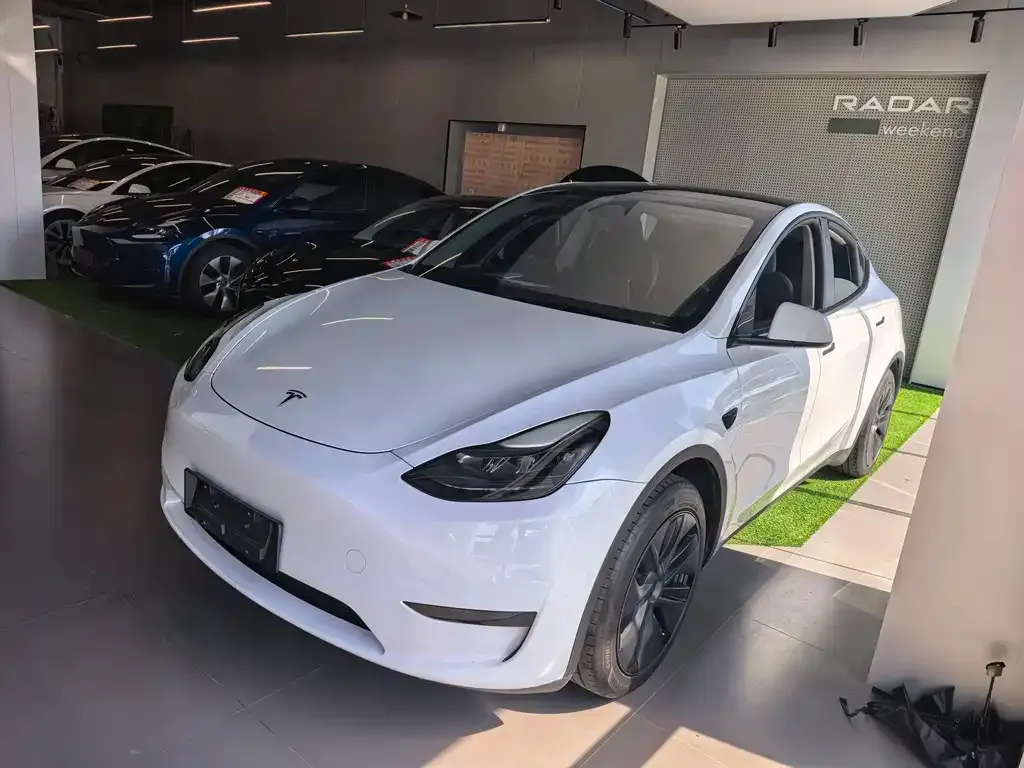 Tesla Model Y — фото 1