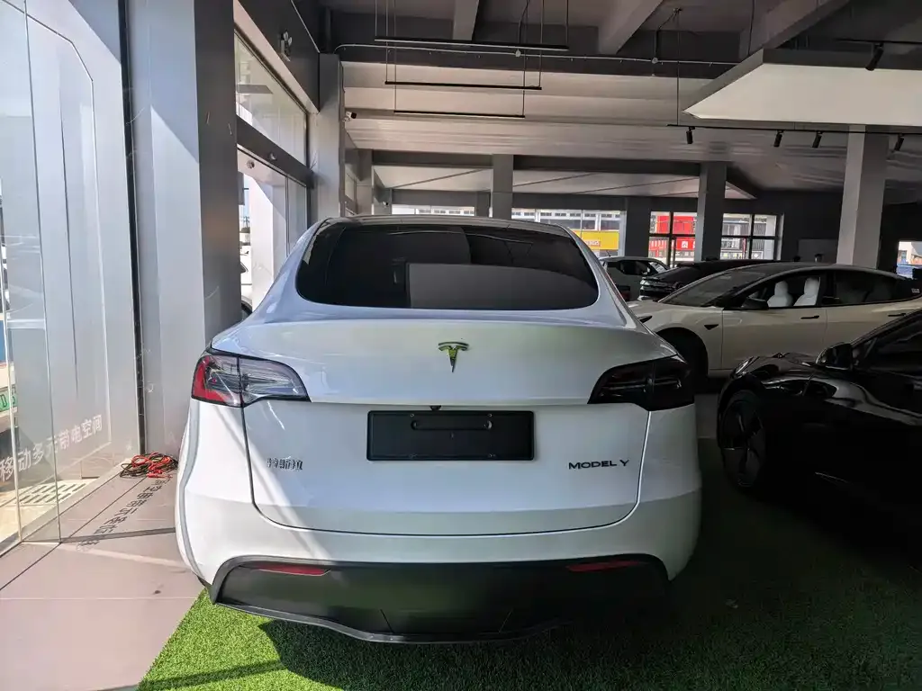 Tesla Model Y — фото 3
