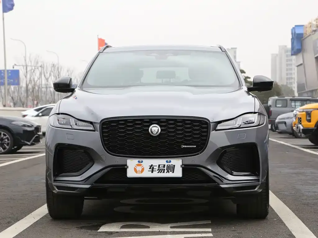 Jaguar F-PACE — фото 6
