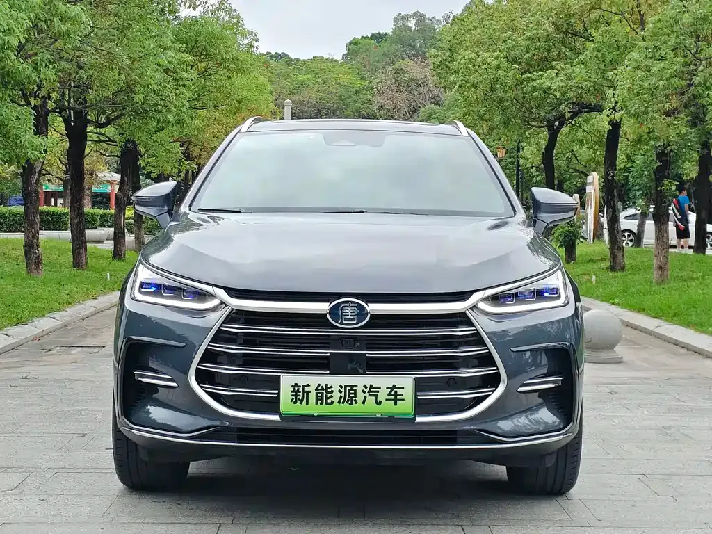 BYD Tang New Energy — фото 2