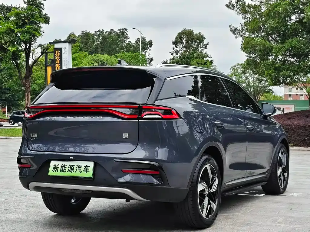 BYD Tang New Energy — фото 8