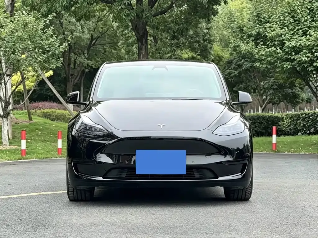 Tesla Model Y — фото 5