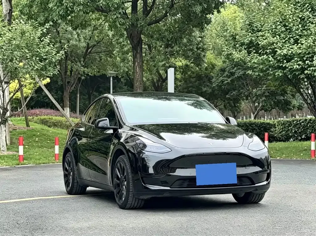 Tesla Model Y — фото 7