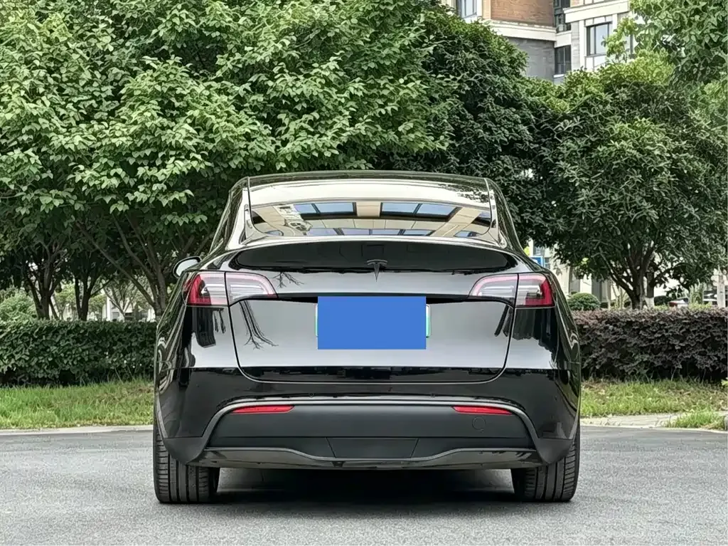 Tesla Model Y — фото 10