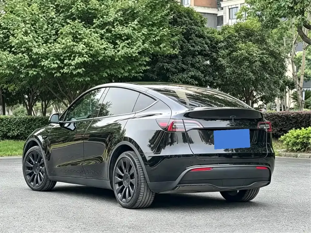 Tesla Model Y — фото 6
