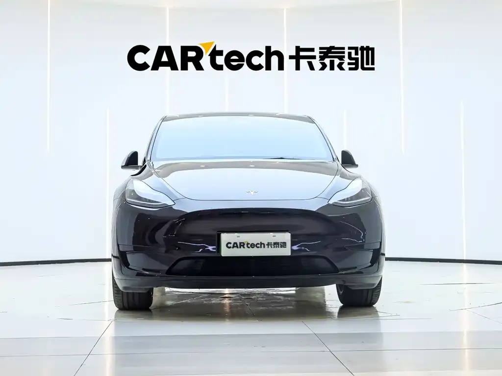 Tesla Model Y — фото 2