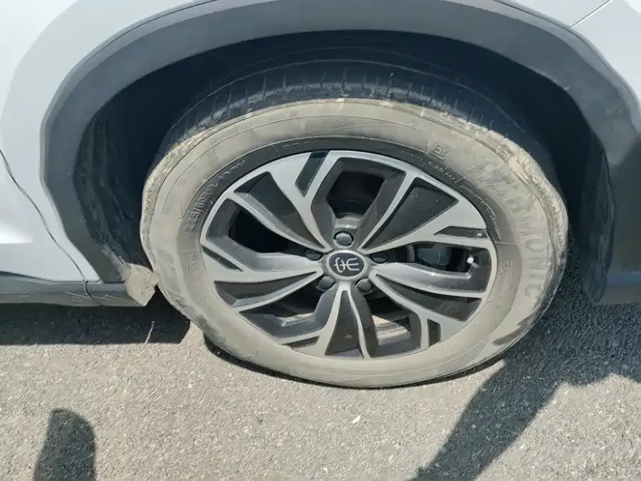 BYD Pro New Energy — фото 10