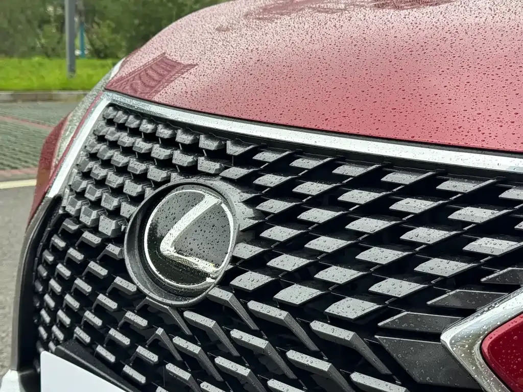 Lexus RX — фото 10