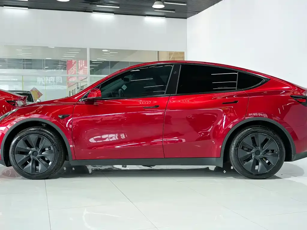 Tesla Model Y — фото 2