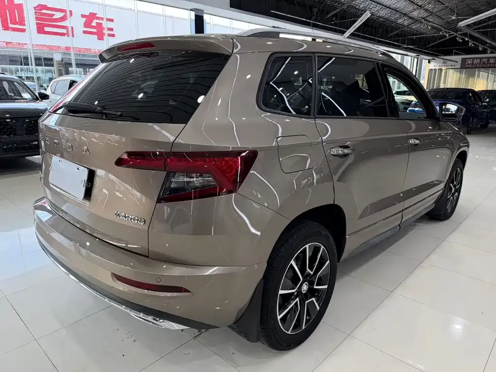 Skoda Karoq — фото 9