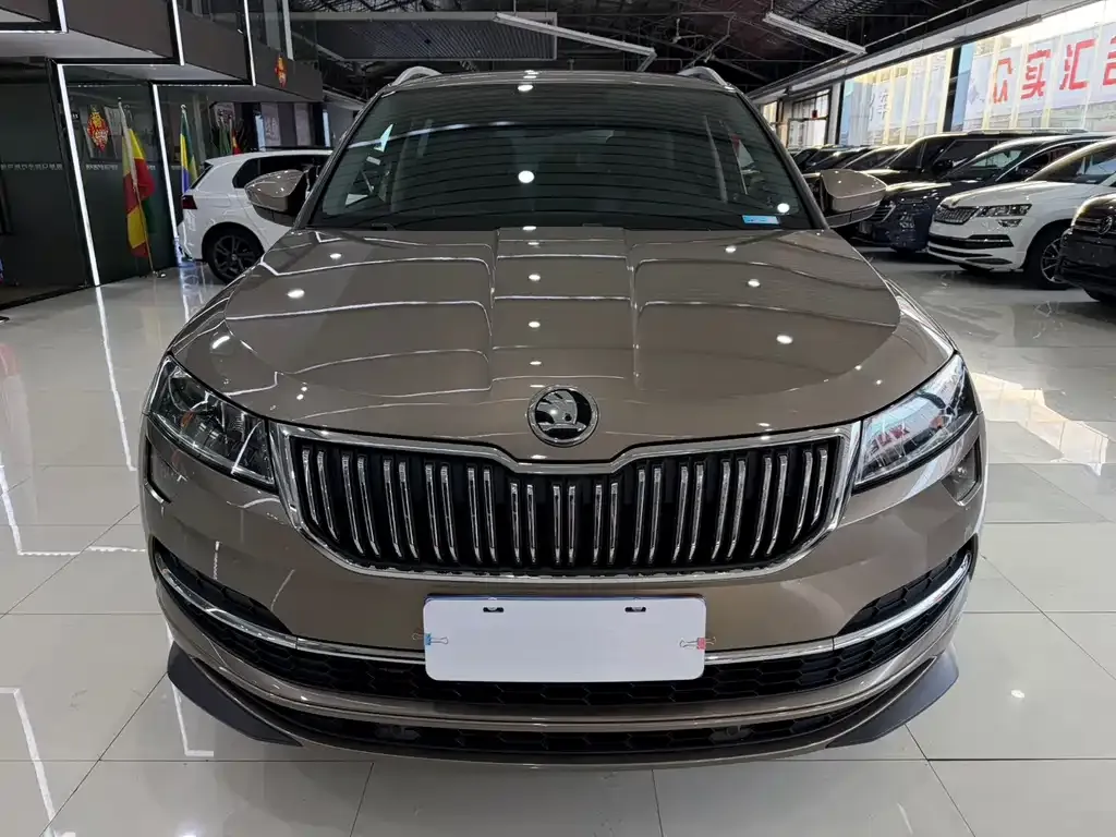 Skoda Karoq — фото 5