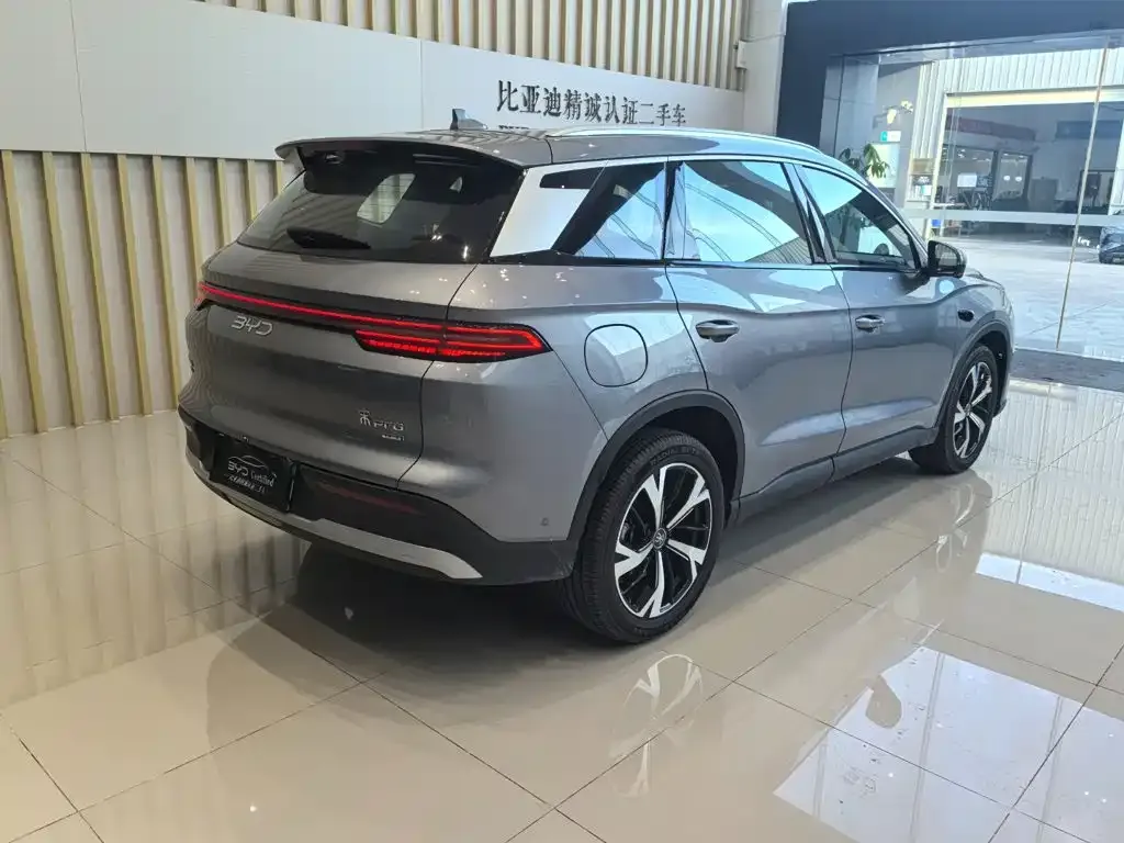 BYD Pro New Energy — фото 10