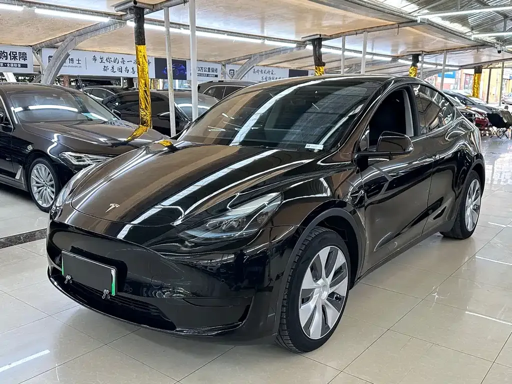 Tesla Model Y — фото 1