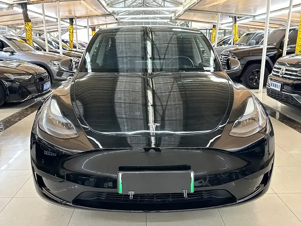 Tesla Model Y — фото 3