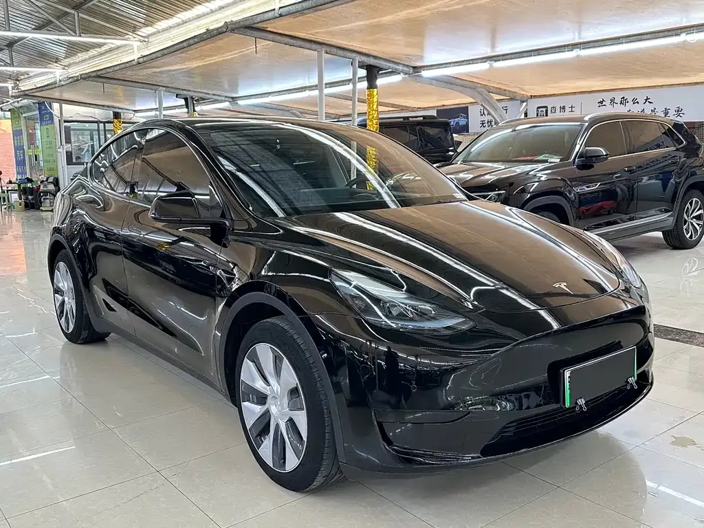 Tesla Model Y — фото 10