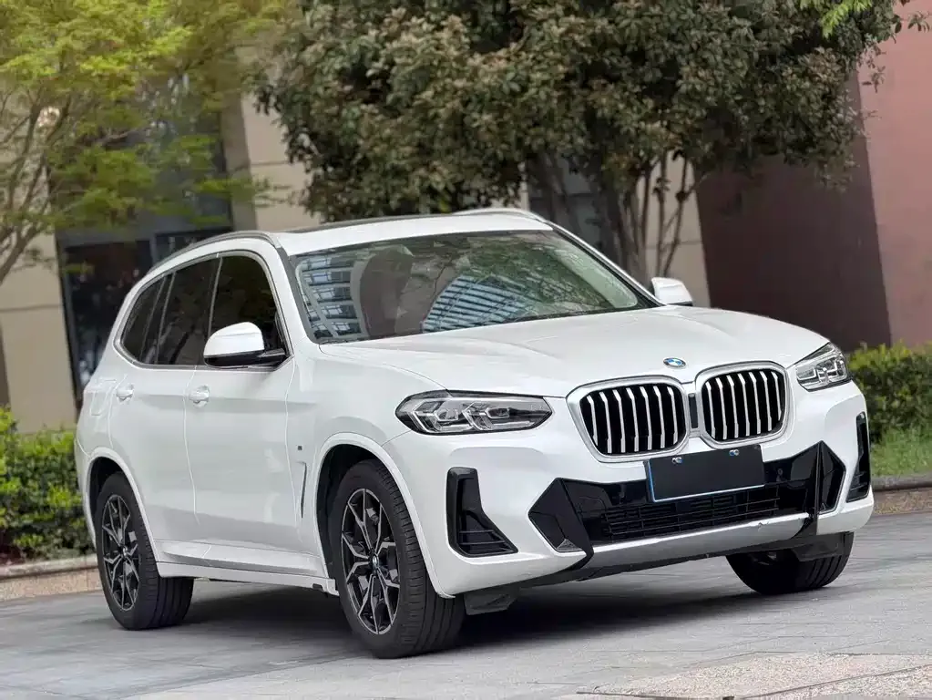 BMW X3 — фото 1