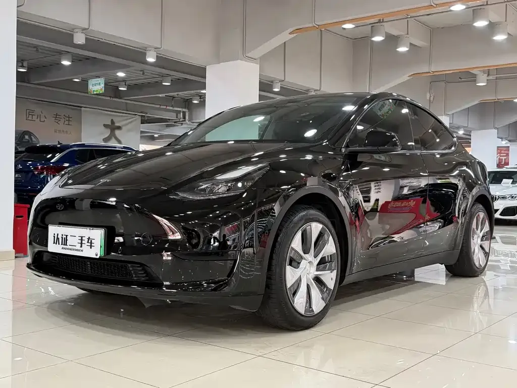 Tesla Model Y — фото 1