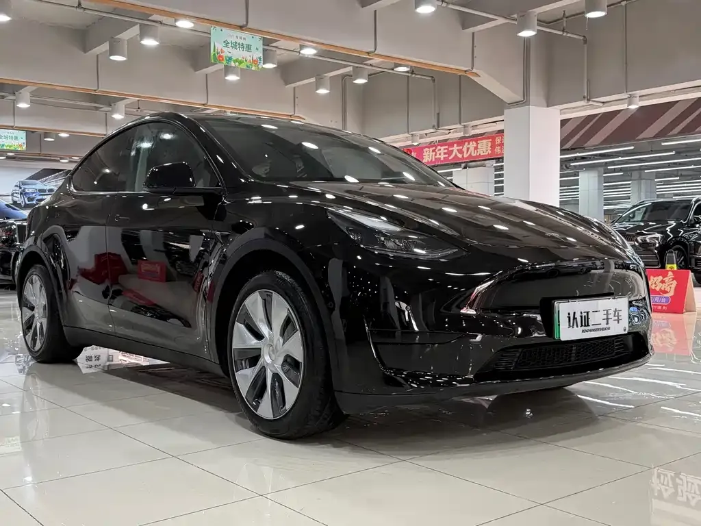 Tesla Model Y — фото 6