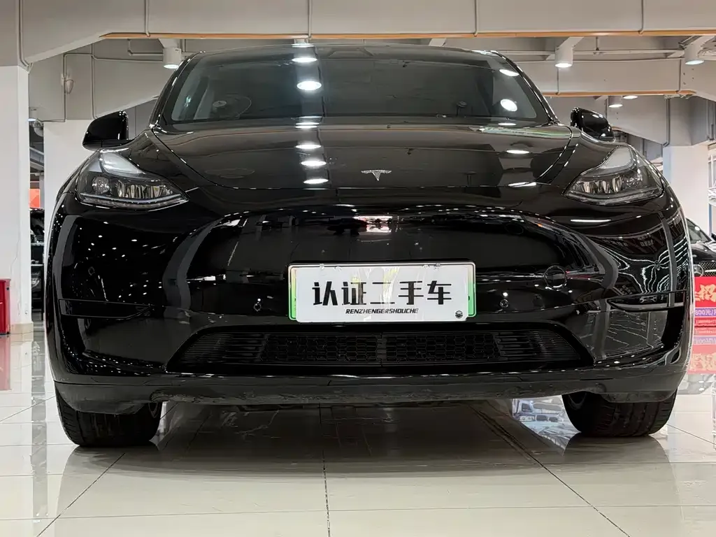 Tesla Model Y — фото 10