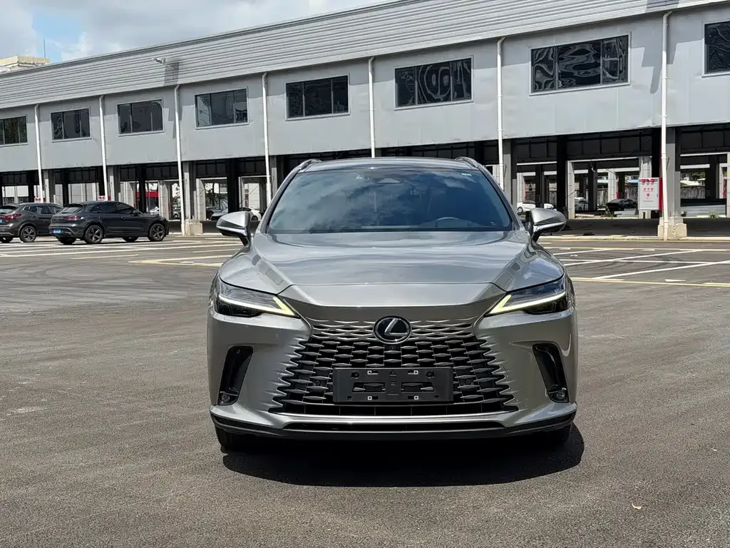 Lexus RX New Energy — фото 9