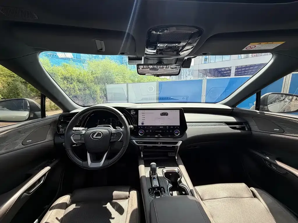 Lexus RX New Energy — фото 10