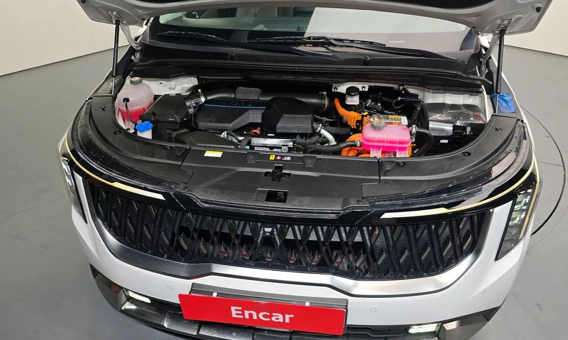 Kia Carnival — фото 10