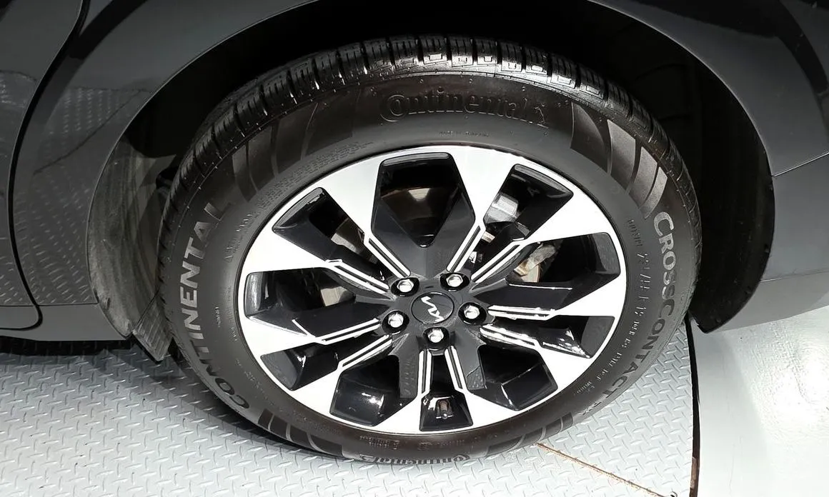 Kia Carnival — фото 10