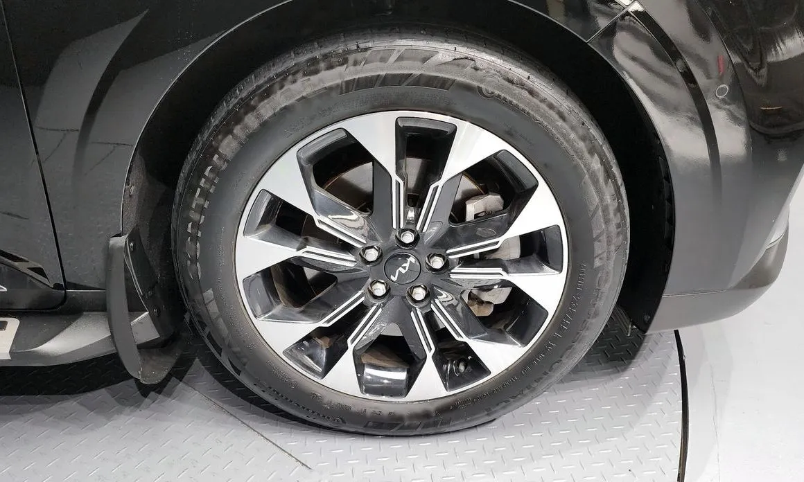 Kia Carnival — фото 10