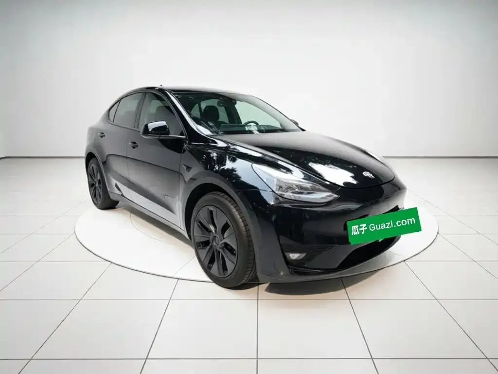 Tesla Model Y — фото 5