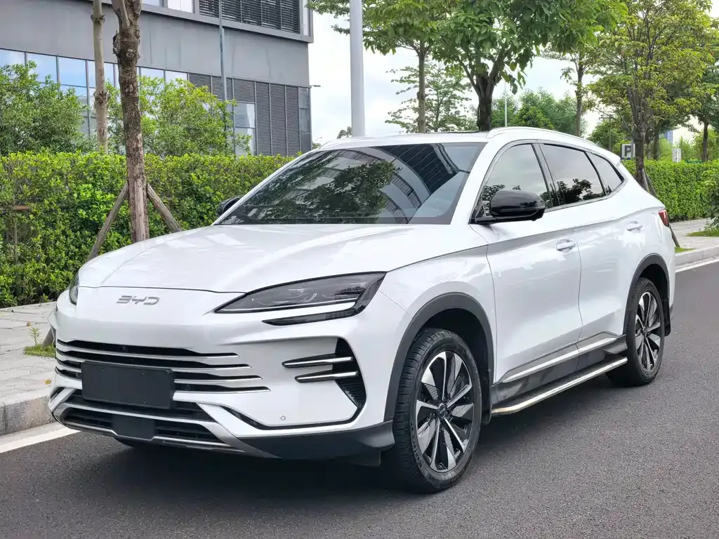 BYD PLUS New Energy — фото 1