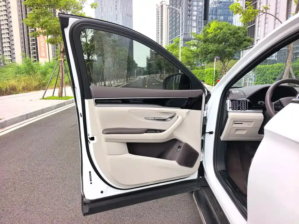 BYD PLUS New Energy — фото 4