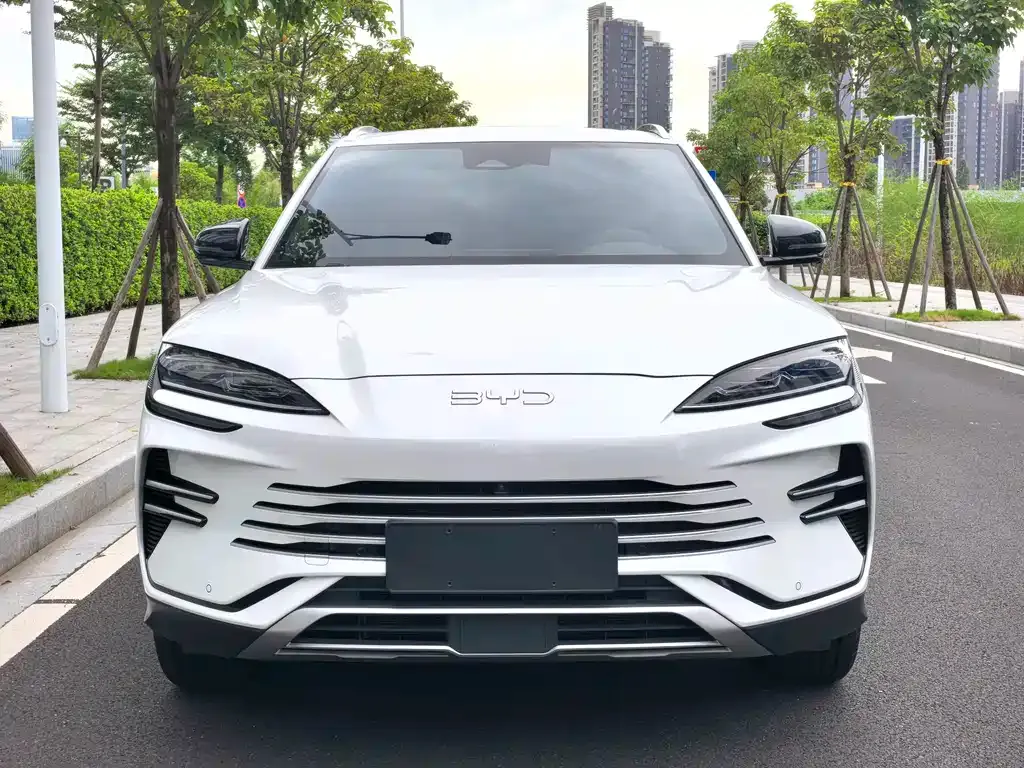 BYD PLUS New Energy — фото 3