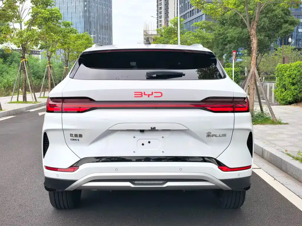 BYD PLUS New Energy — фото 2