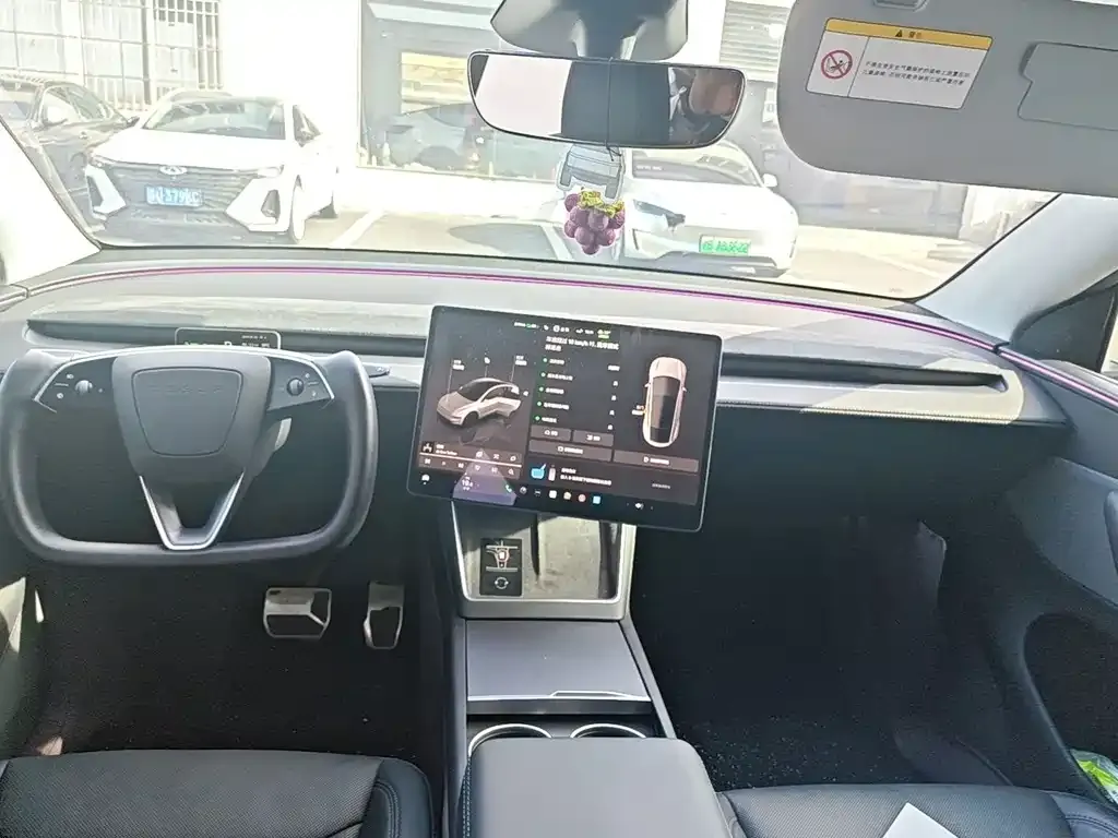 Tesla Model Y — фото 8