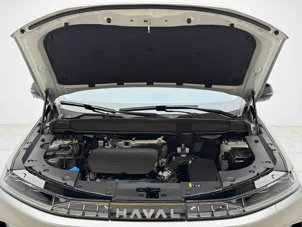 Haval Xiaolong MAX — фото 4