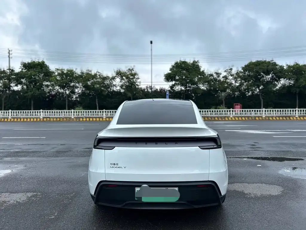 Tesla Model Y — фото 4