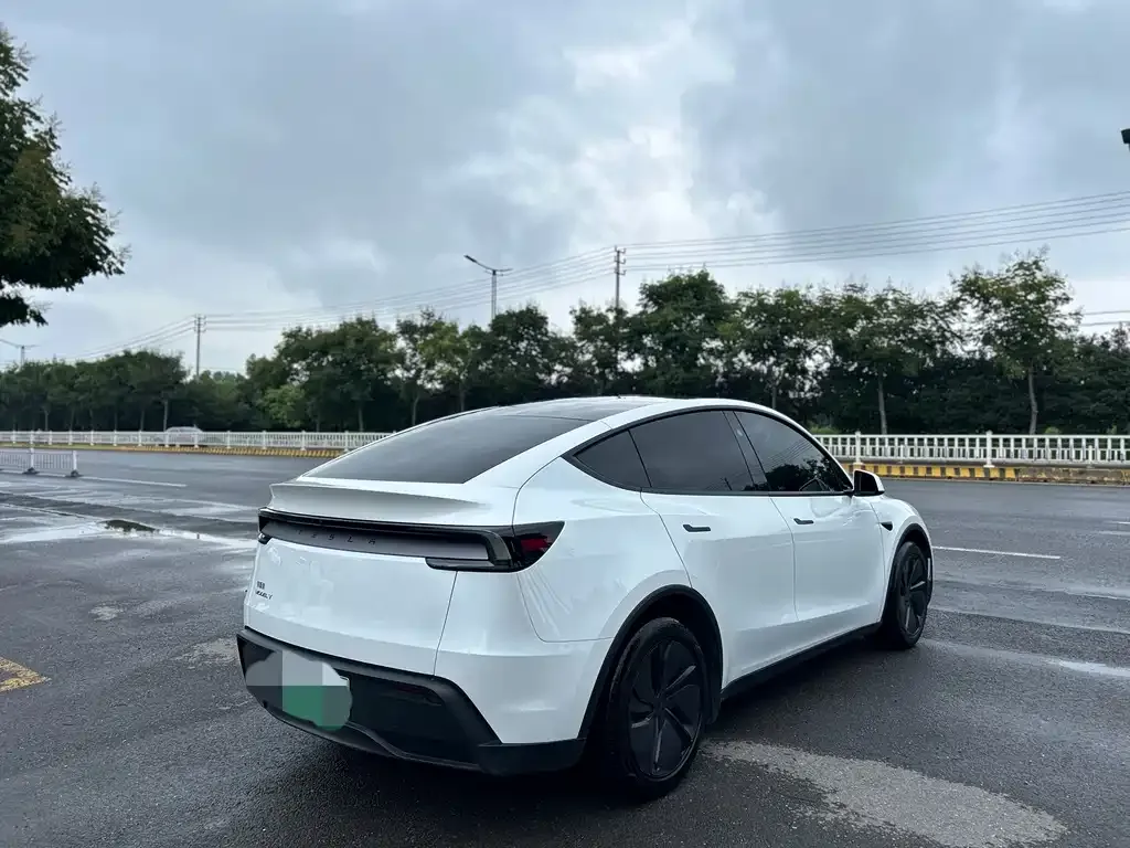 Tesla Model Y — фото 10