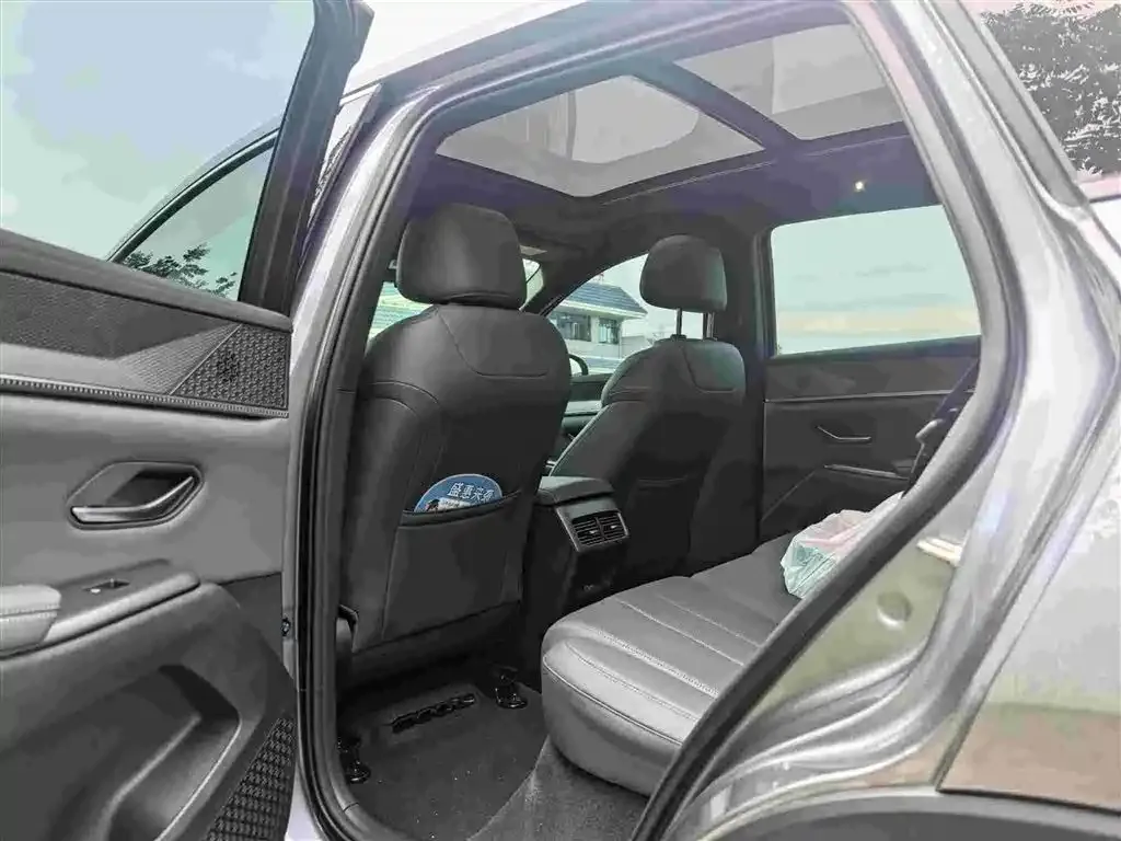 BYD Pro New Energy — фото 2