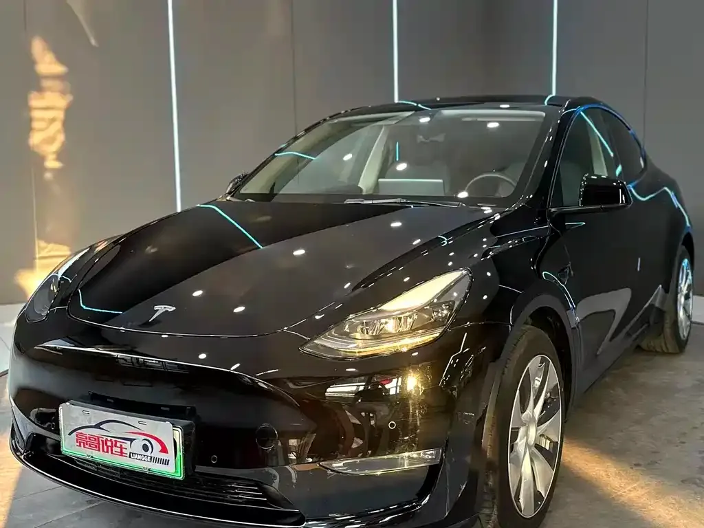 Tesla Model Y — фото 1