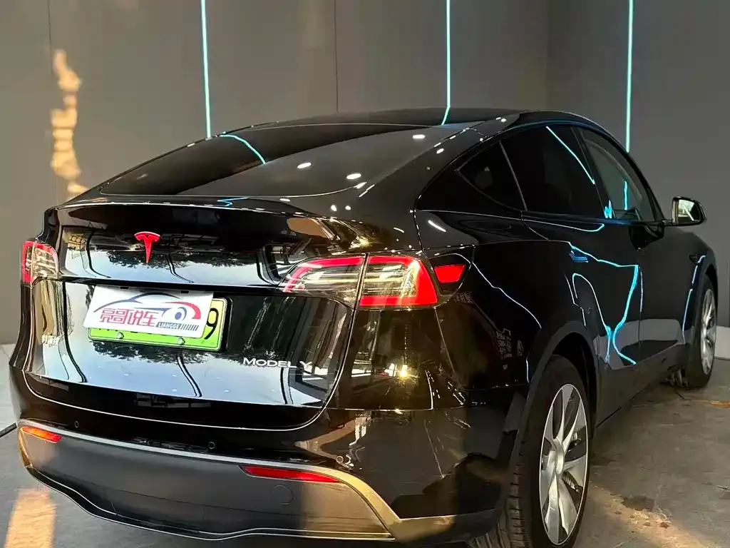 Tesla Model Y — фото 10