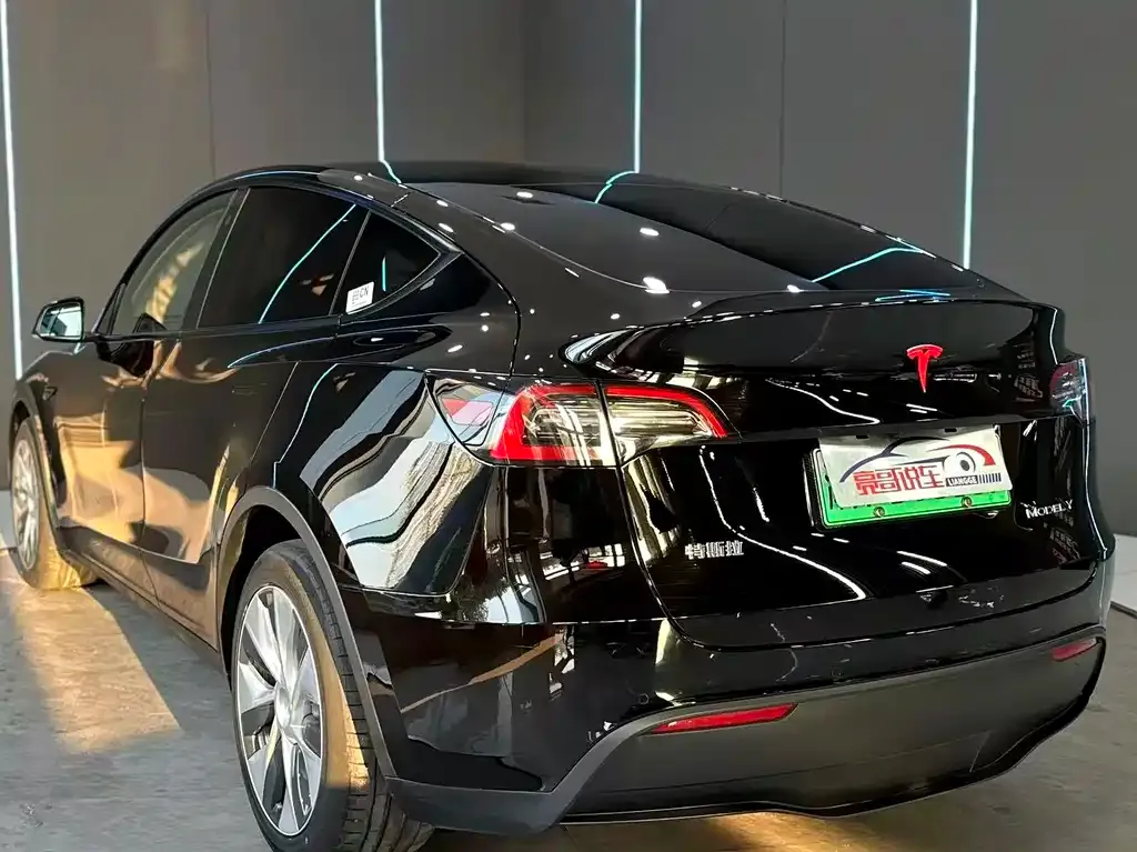 Tesla Model Y — фото 3