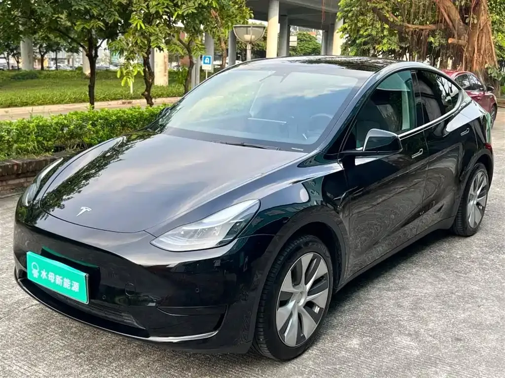 Tesla Model Y — фото 1
