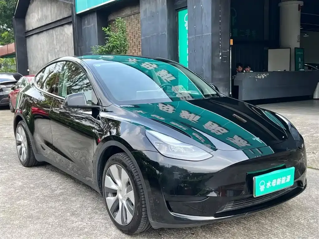 Tesla Model Y — фото 10