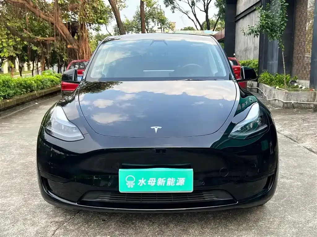 Tesla Model Y — фото 4