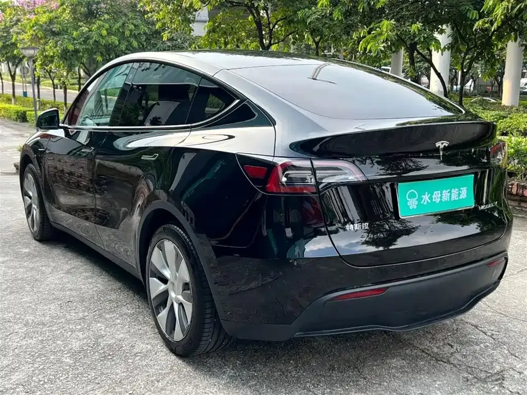 Tesla Model Y — фото 8