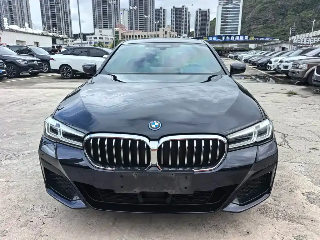BMW 5 Series New Energy — фото 6