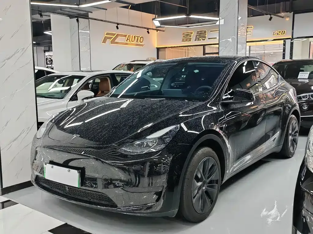 Tesla Model Y — фото 1
